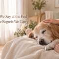 The Words We Say at the End Can Ease the Regrets We Carry
